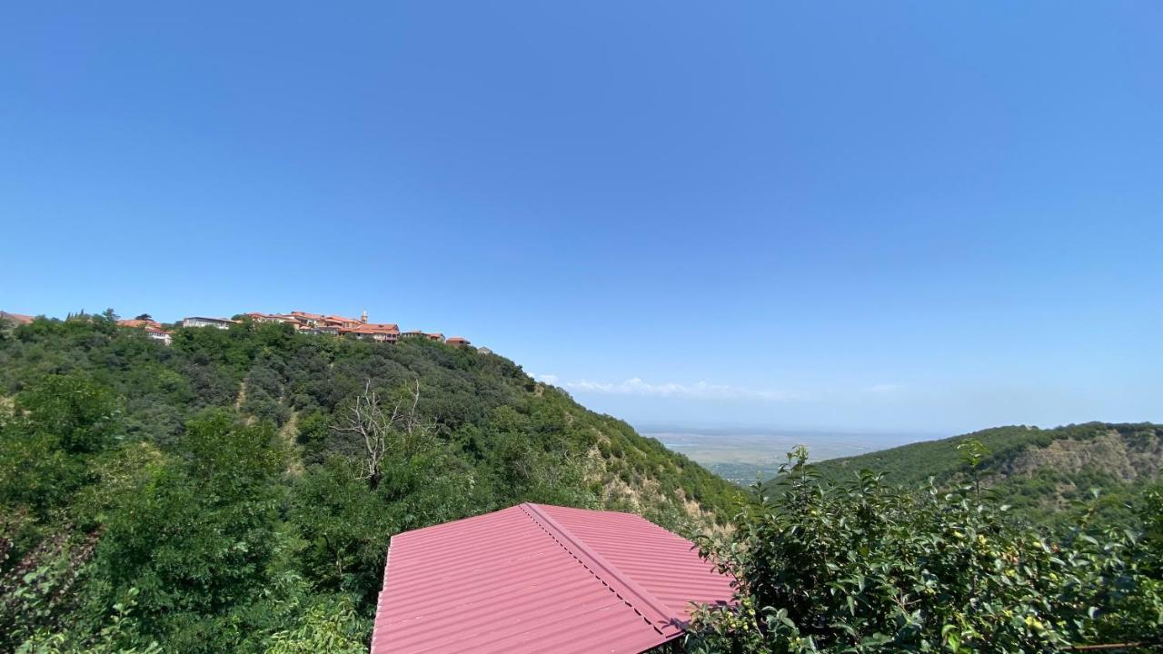 Lia'S Guest House Sighnaghi Ngoại thất bức ảnh